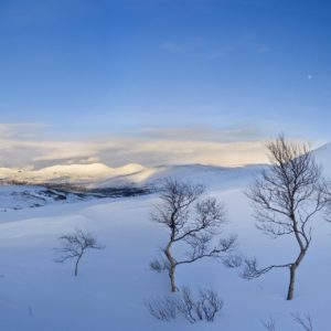 Vinterfjellet med Skjækerfjella i bakgrunnen og blå himmel