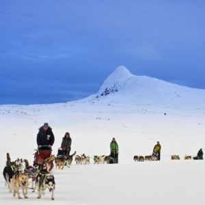 En rekke med fem hundespann i vinterfjellet.