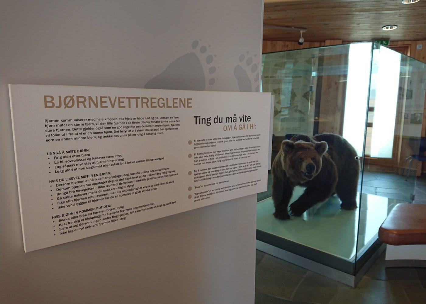 Bilde fra utstillingen med skilt om bjørnevettreglene