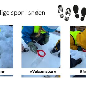 Barnehagebarn finner forskjellige spor i snøen. Bilde 1: Hundespor. Bilde 2: Voksenspor. Bilde 3: Rådyrspor.