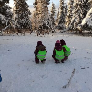 Barnehagebarn ute å ser på reinsdyr